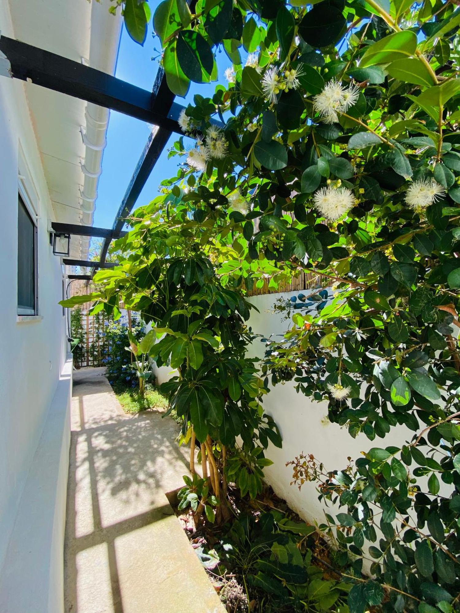 Gem Of Viso Villa Setúbal Dış mekan fotoğraf